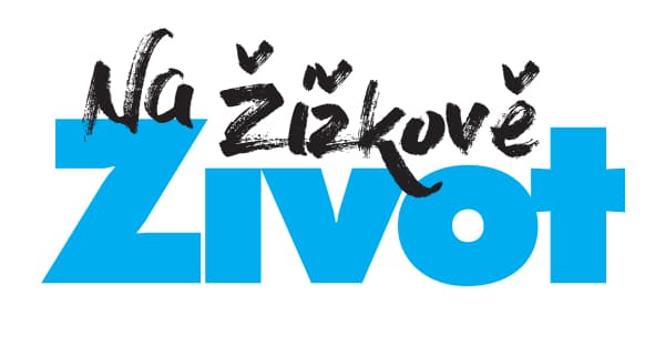 znz-logo